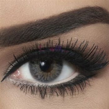 Bella Gray Eye Lenses - Natural Collection