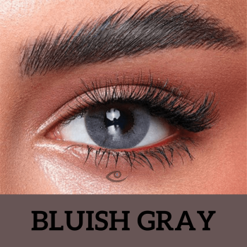 Bella Bluish Gray - Oneday Collection