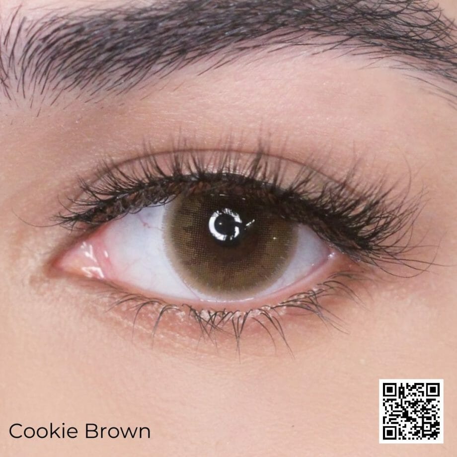 Majestic Cookie Brown – Elegant collection