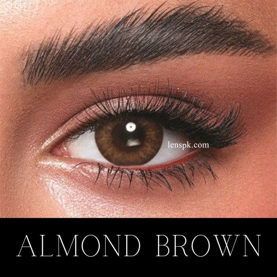 Almond Brown shade, 3-pair lens deal