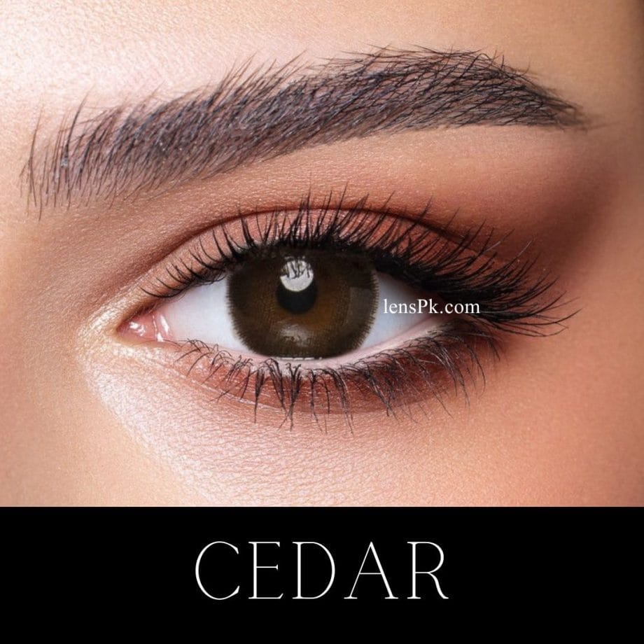 Cedar shade, 3-pair lens deal