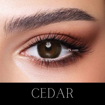 Bella Cedar - Oneday Collection