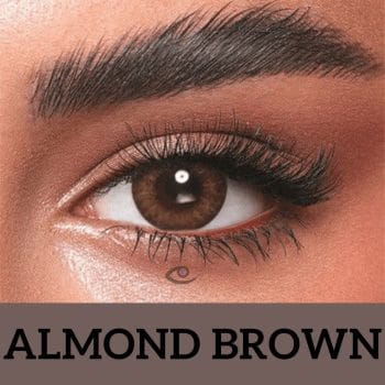 Bella Almond Brown - Oneday Collection